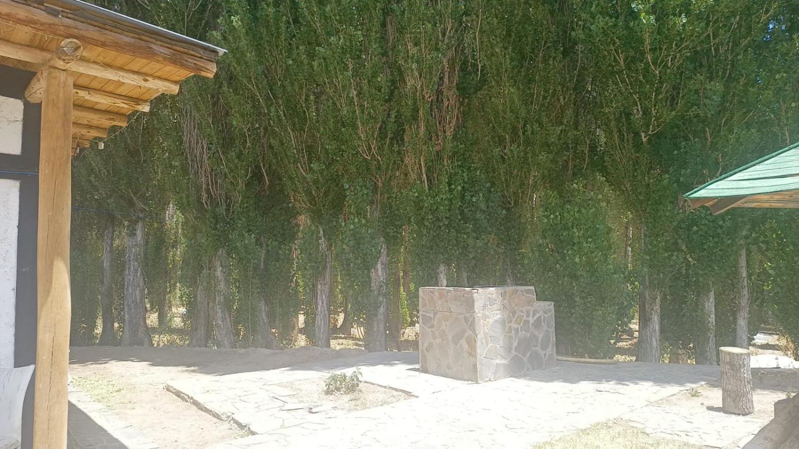 Cabanas De Los Andes Uspallata Ngoại thất bức ảnh