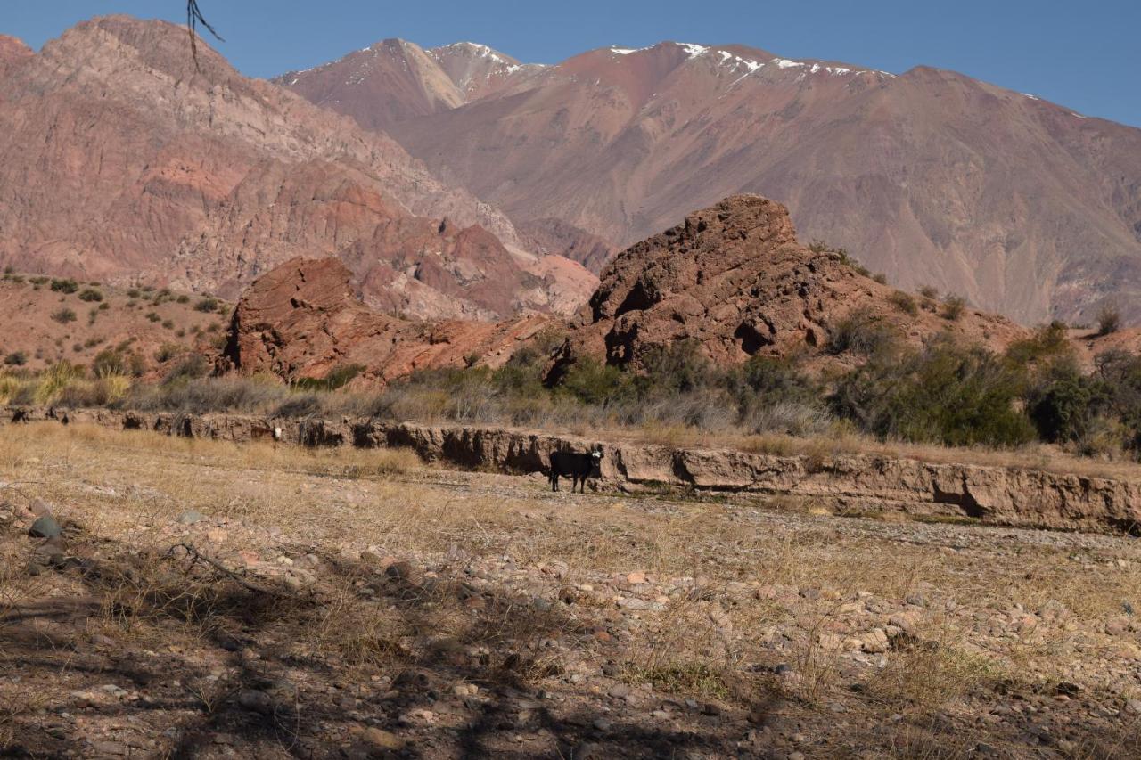 Cabanas De Los Andes Uspallata Ngoại thất bức ảnh
